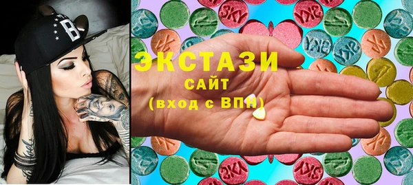 гашик Няндома