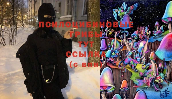 ALPHA-PVP Алексин
