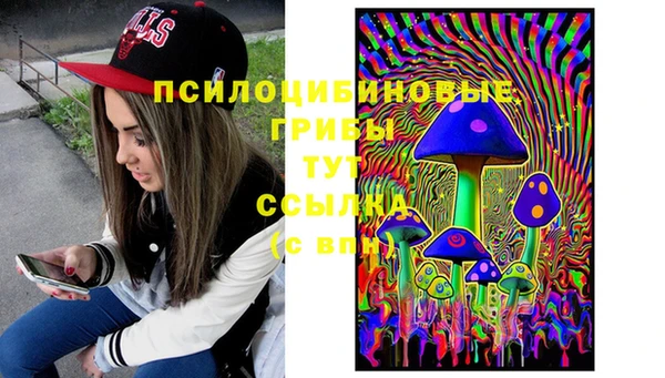 круглые Алзамай