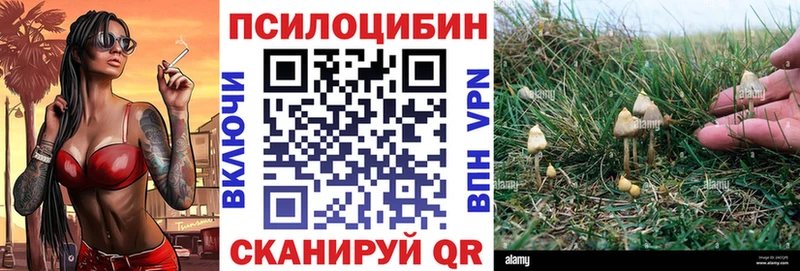 Псилоцибиновые грибы Psilocybe blacksprut зеркало Сухой Лог наркотики