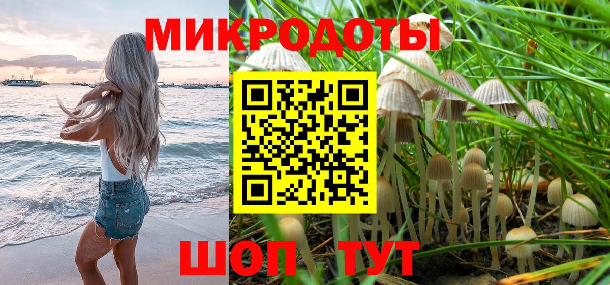 Псилоцибиновые грибы Psilocybine cubensis  Вход с VPN  купить  цена  Псилоцибиновые грибы прущие грибы  Сухой Лог 