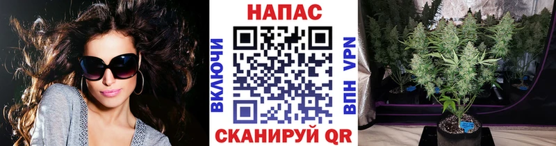 MEGA как зайти  Сухой Лог  Бошки Шишки конопля  купить наркотики сайты 
